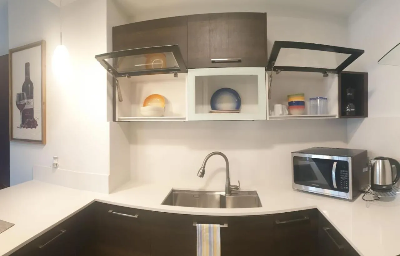 Apartment Luxurious Parkhurst 1 Kingston Jamaica