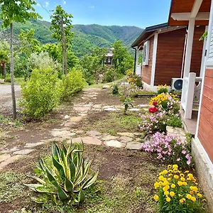 https://baven-toven-naturae.albaniahotels.org